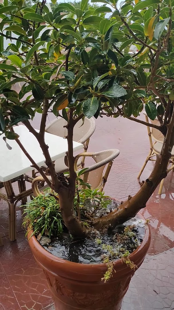 Hotel Costa D'Oro