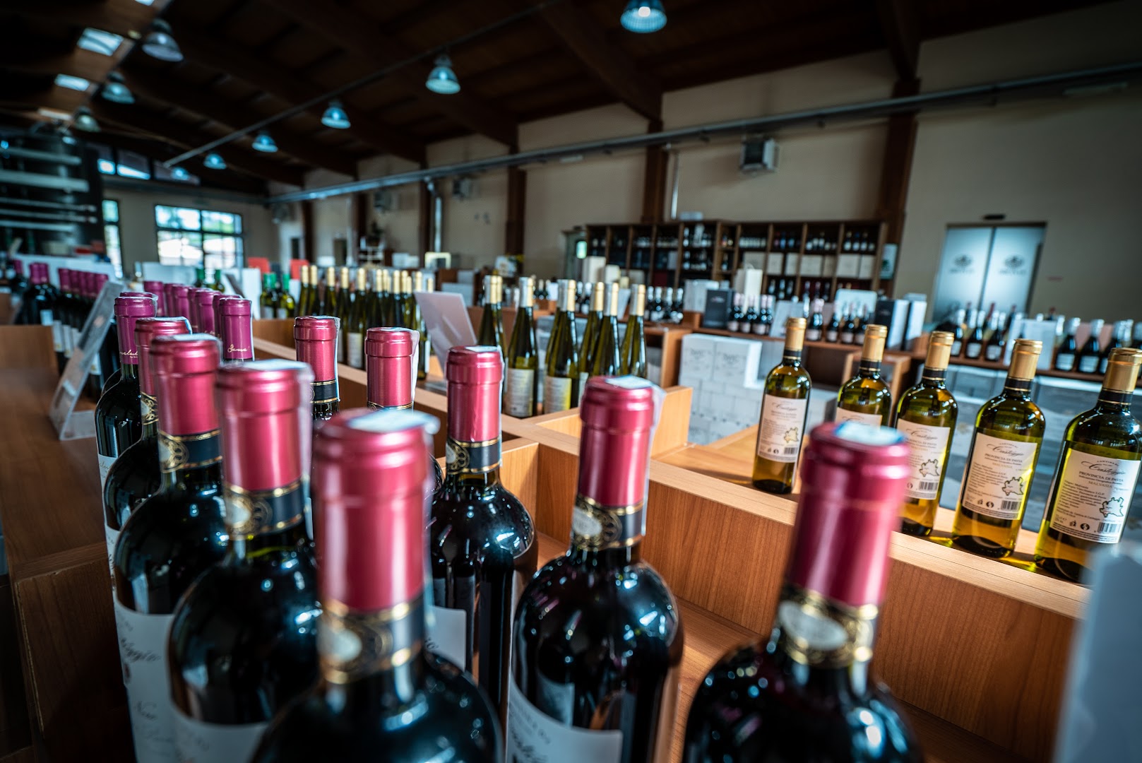 Terre d’Oltrepò - Cantina di Broni