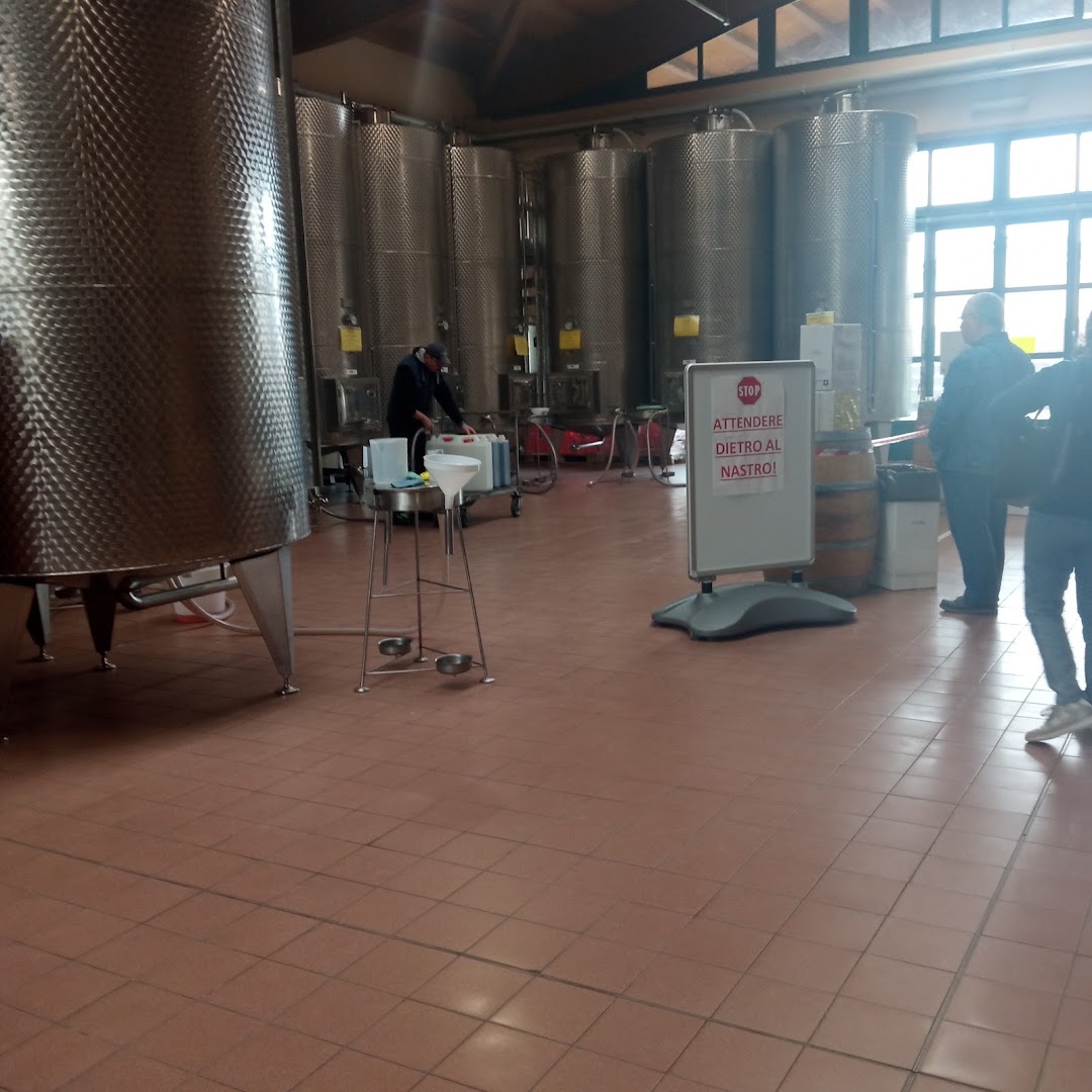 Terre d’Oltrepò - Cantina di Broni
