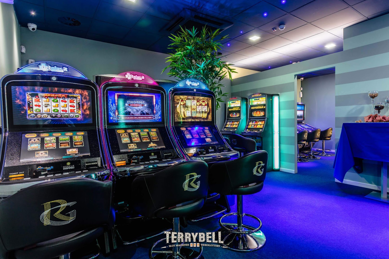 Terrybell Slot e VLT