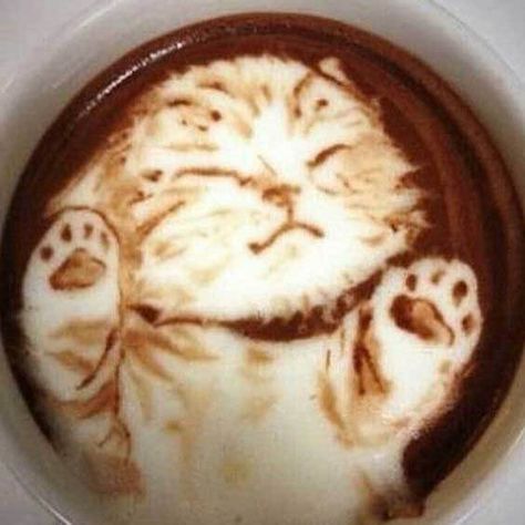 The coffee hub
