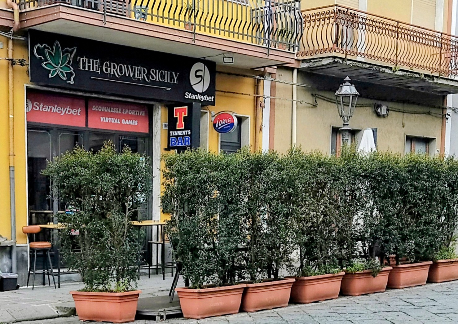 The Grower Sicily • Canapa Store