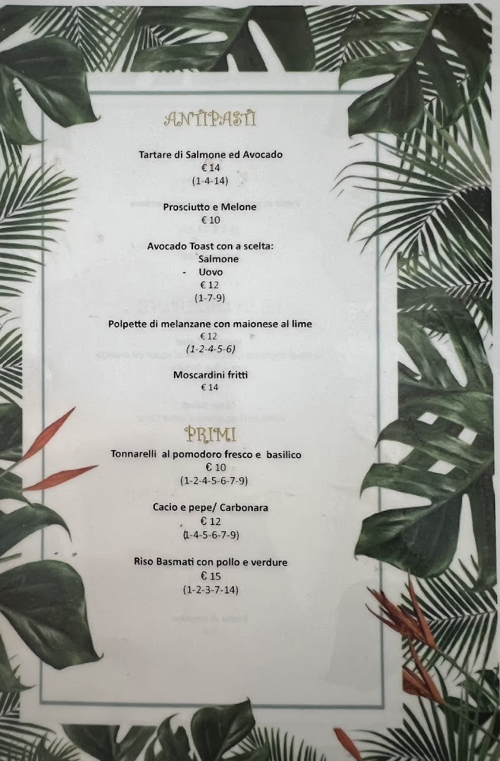 The Jungle Club
