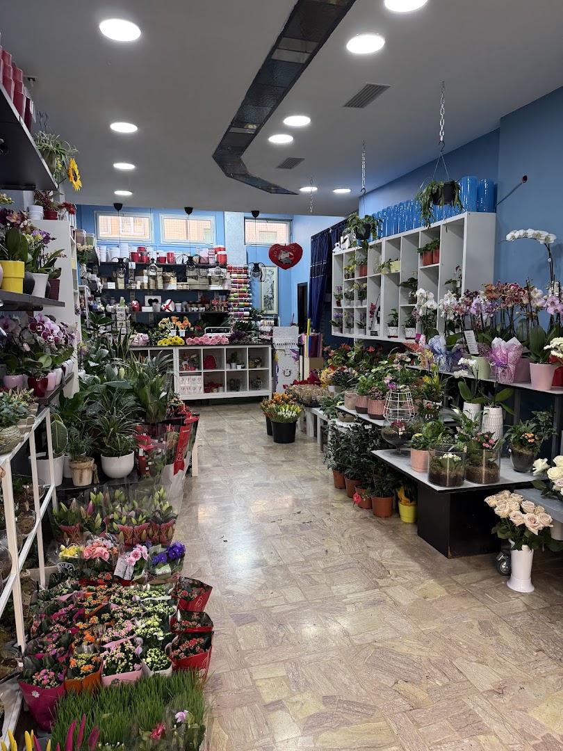 The Paradise Fiori Bolzano