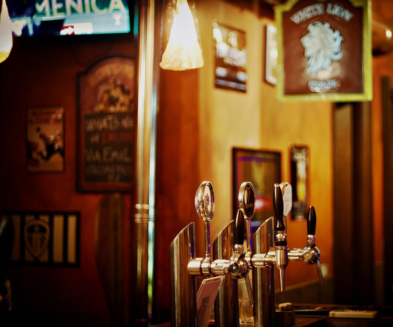 The White Lion, Firenze