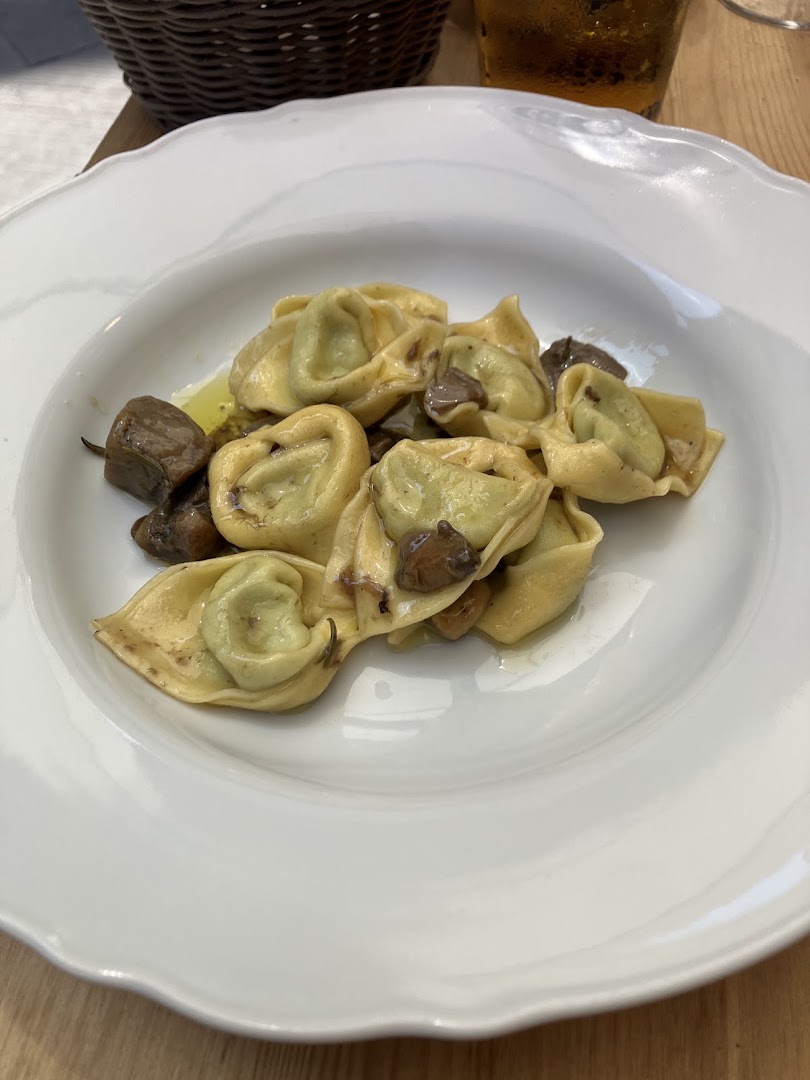 Tigella EMILIA, Siena
