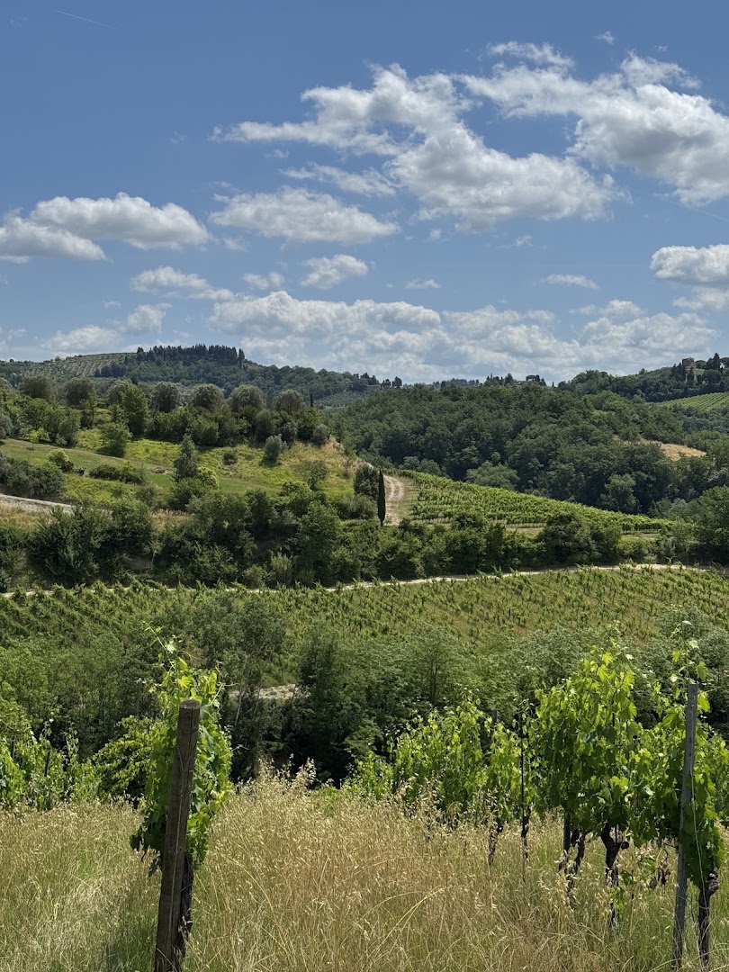 Tinti Chianti