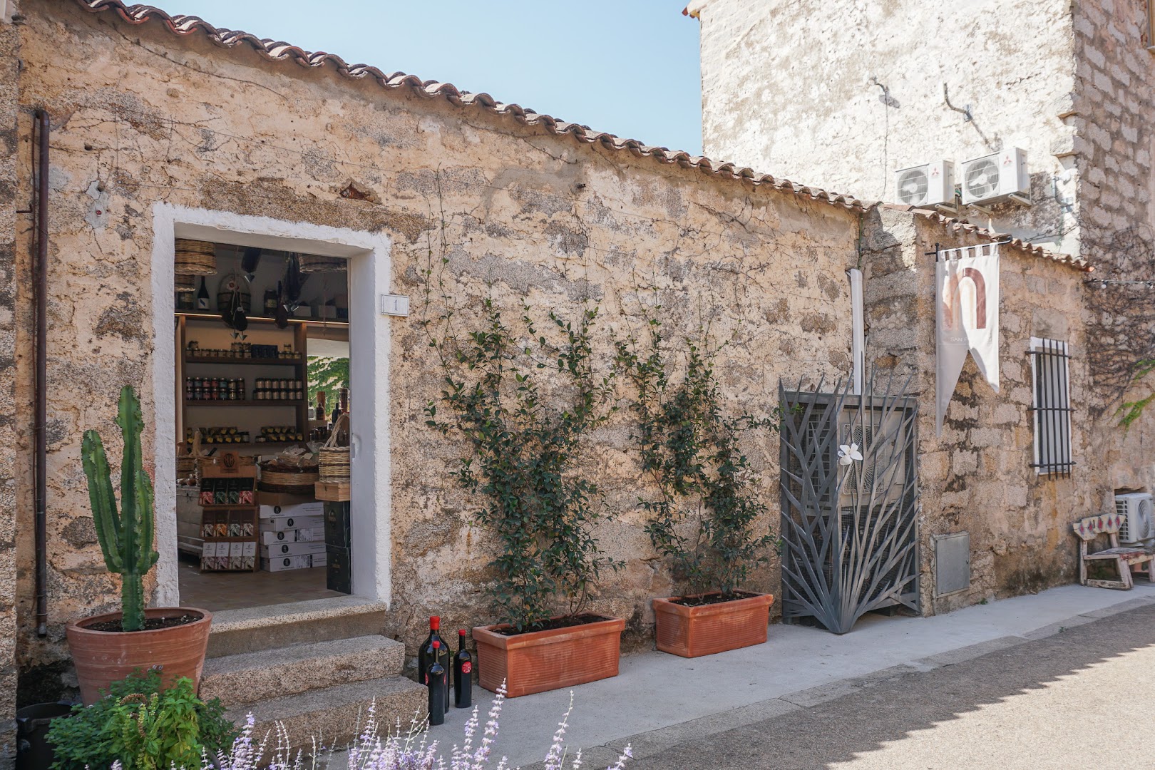 TIPICO - San Pantaleo