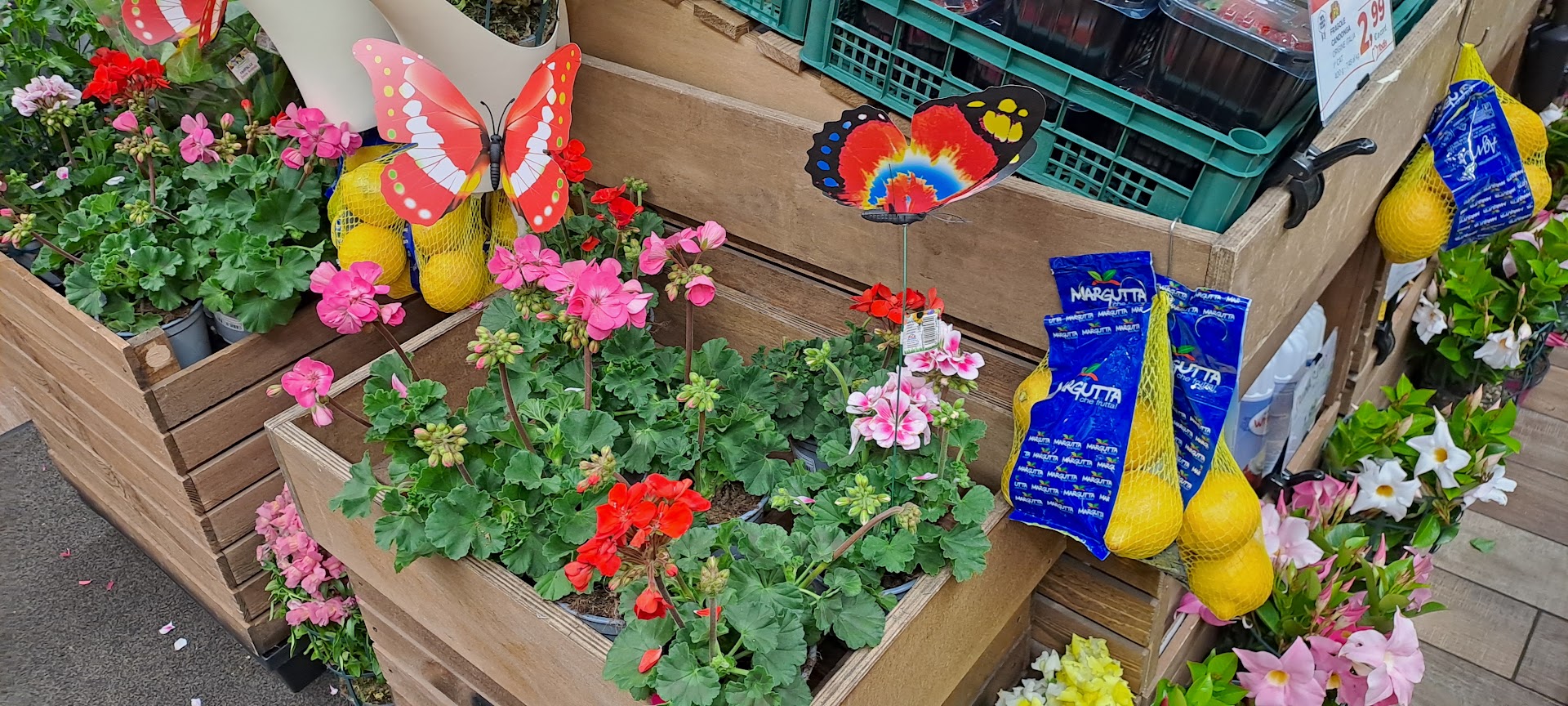 Todis Rione - Supermercato (Albano - via Vascarelle)