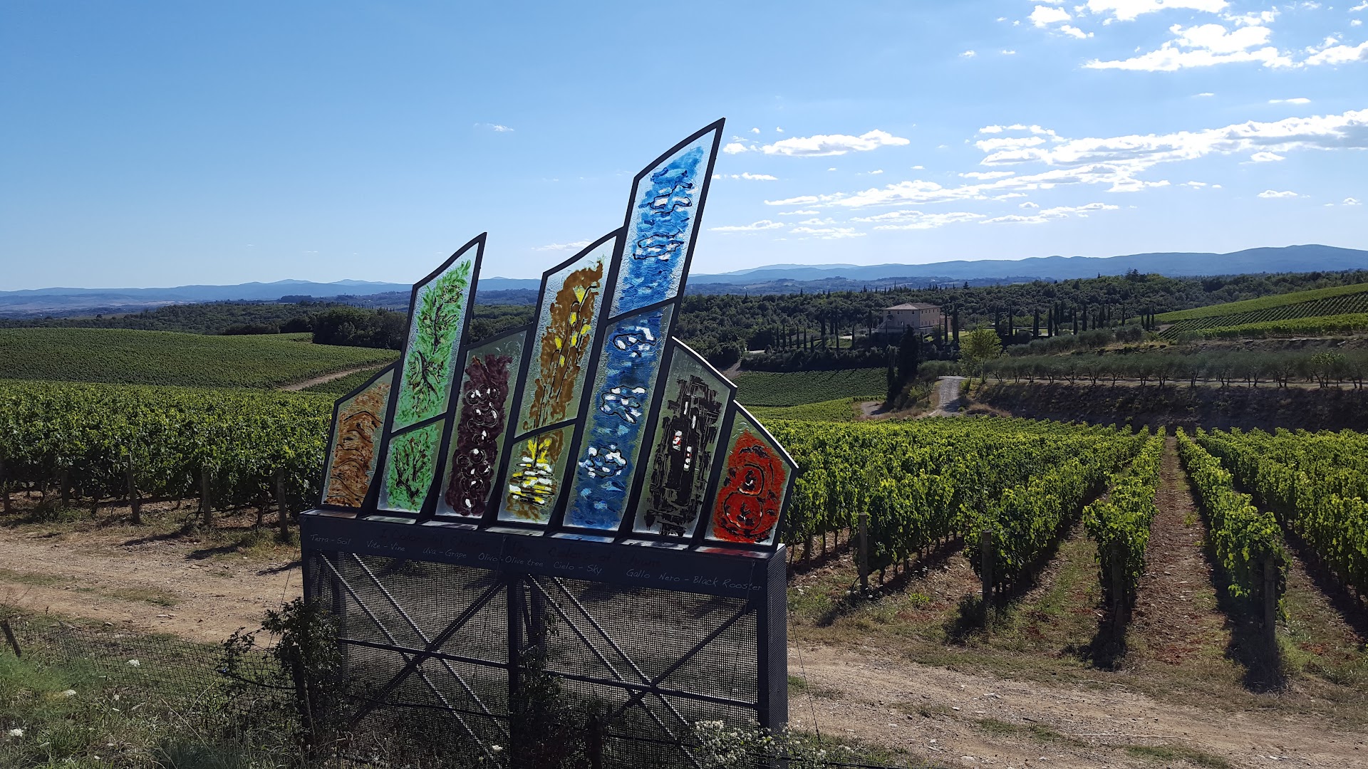 Tolaini Wine and Tour