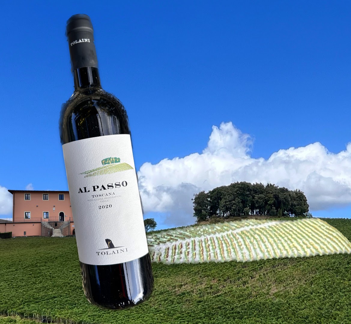 Tolaini Wine and Tour