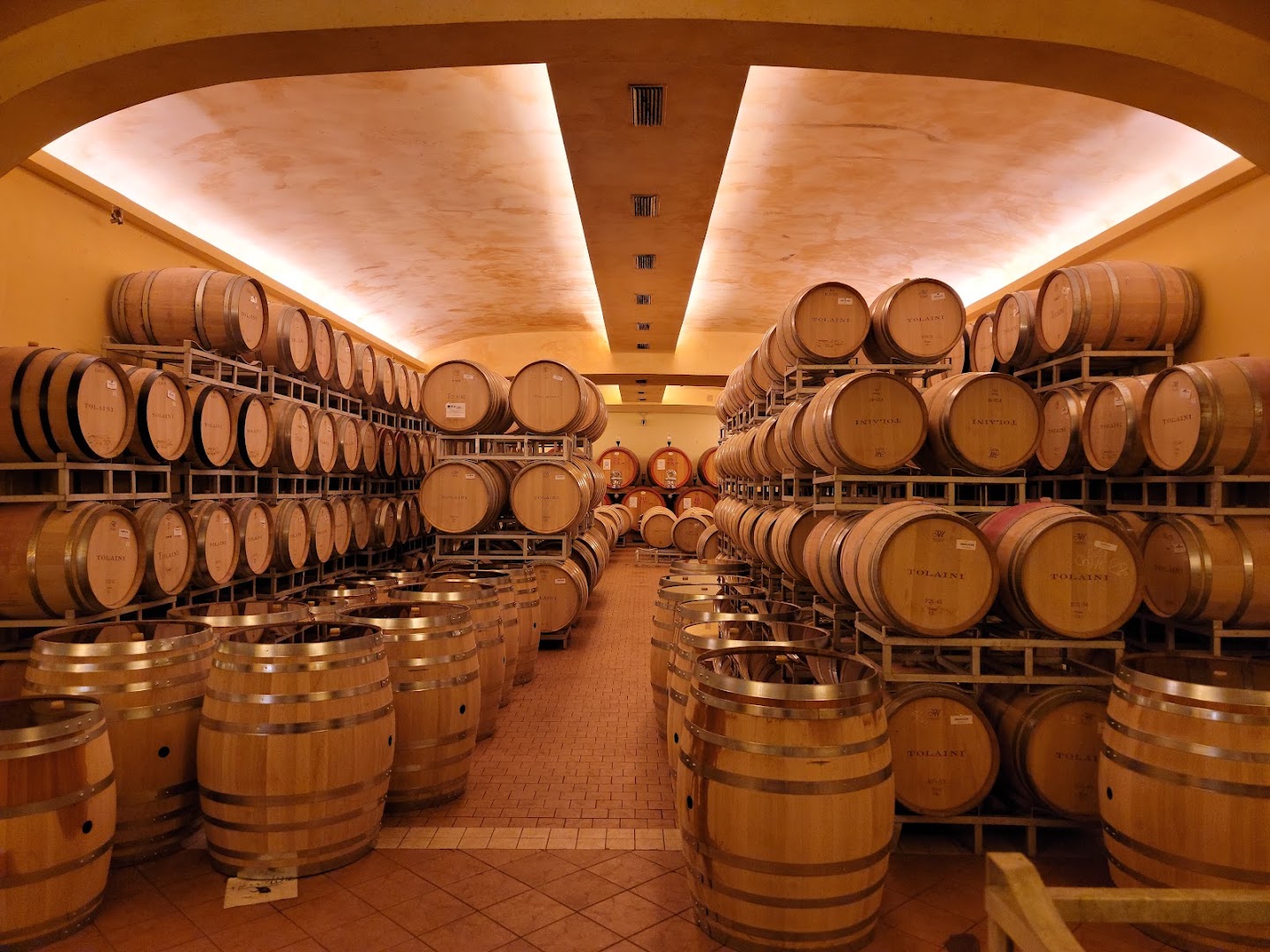 Tolaini Wine and Tour