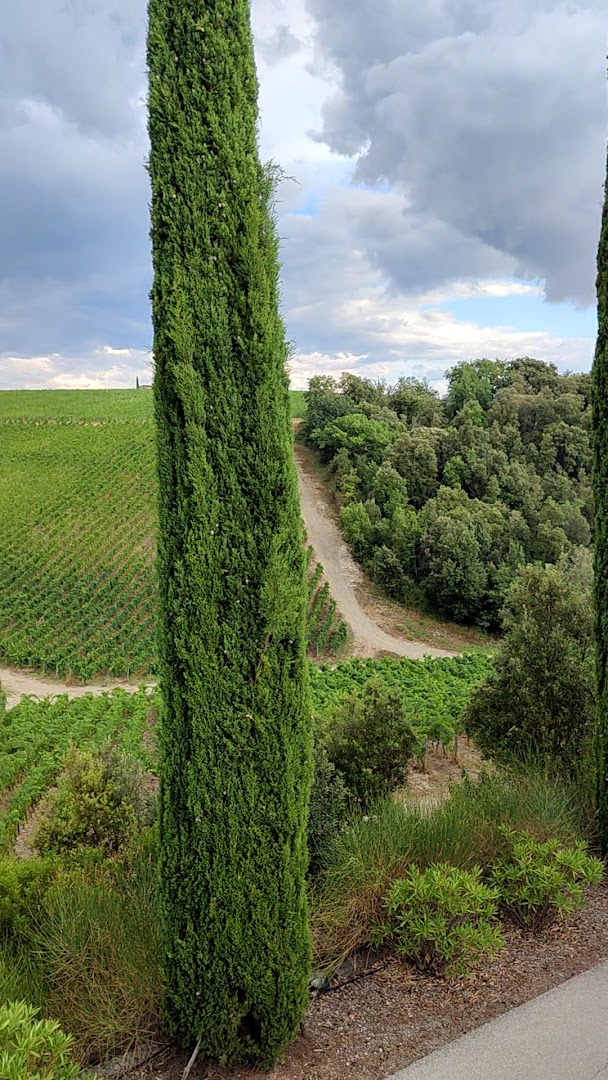 Tolaini Wine and Tour