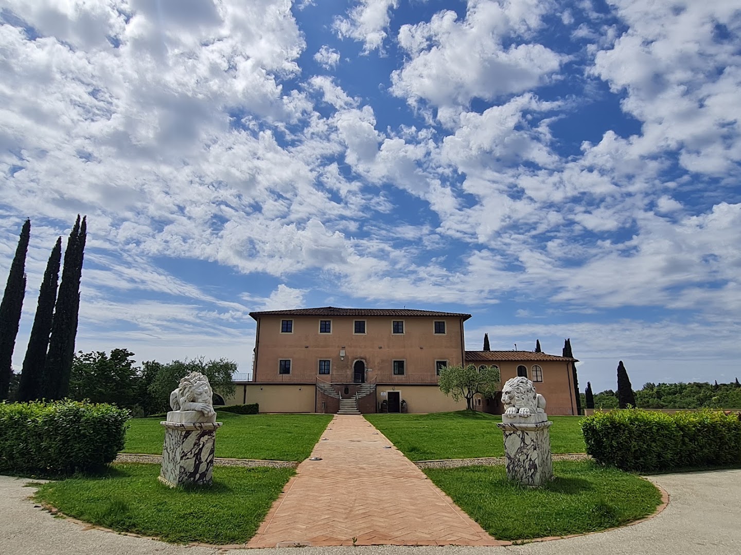 Tolaini Wine and Tour