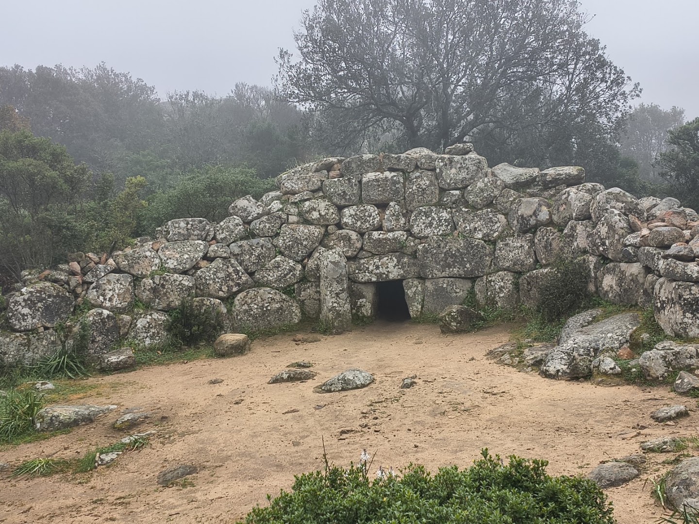 Tomba di giganti Is Concias