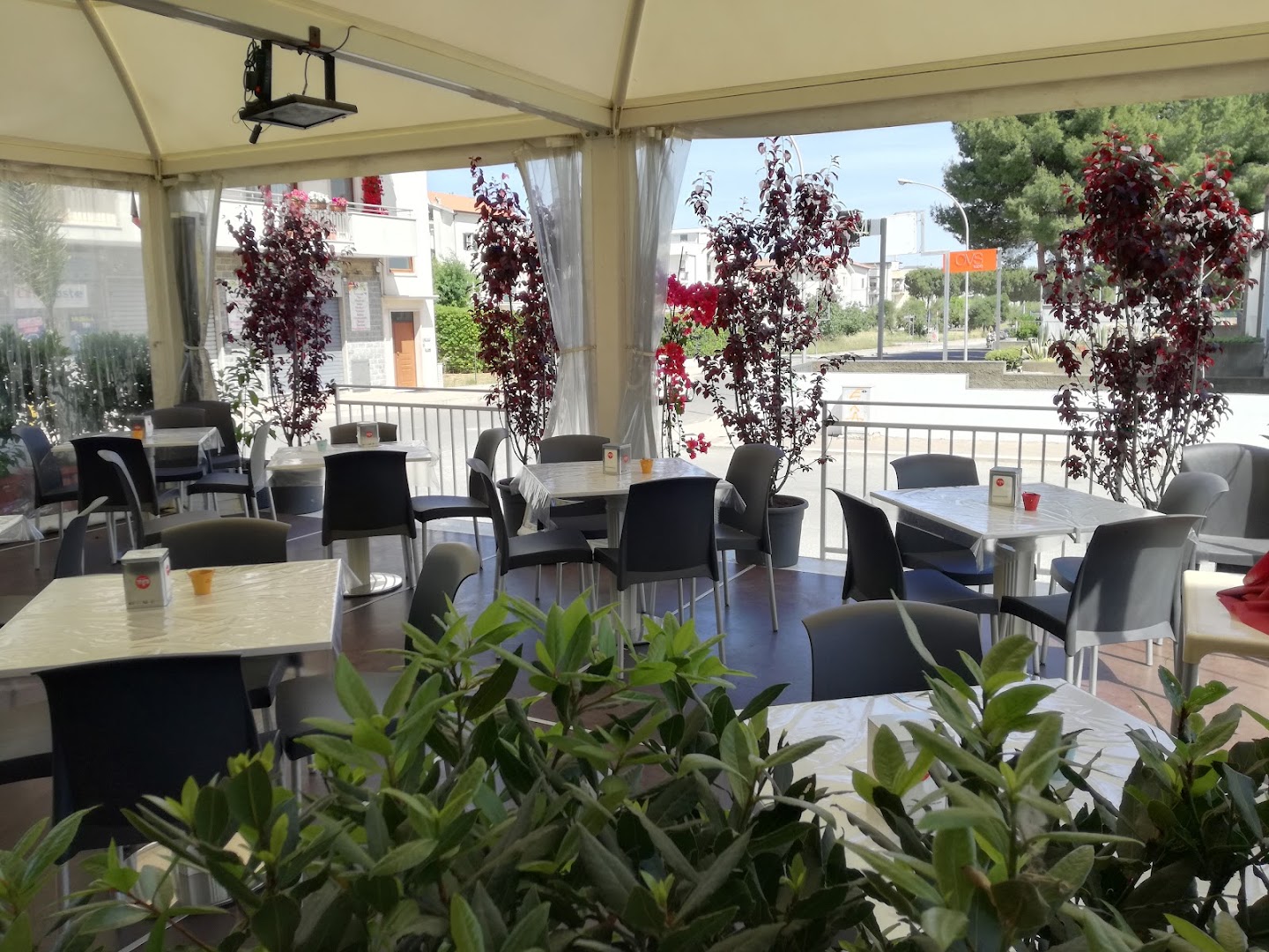 Too Chic Too Lunch Cafe - Bar E Tavola Calda