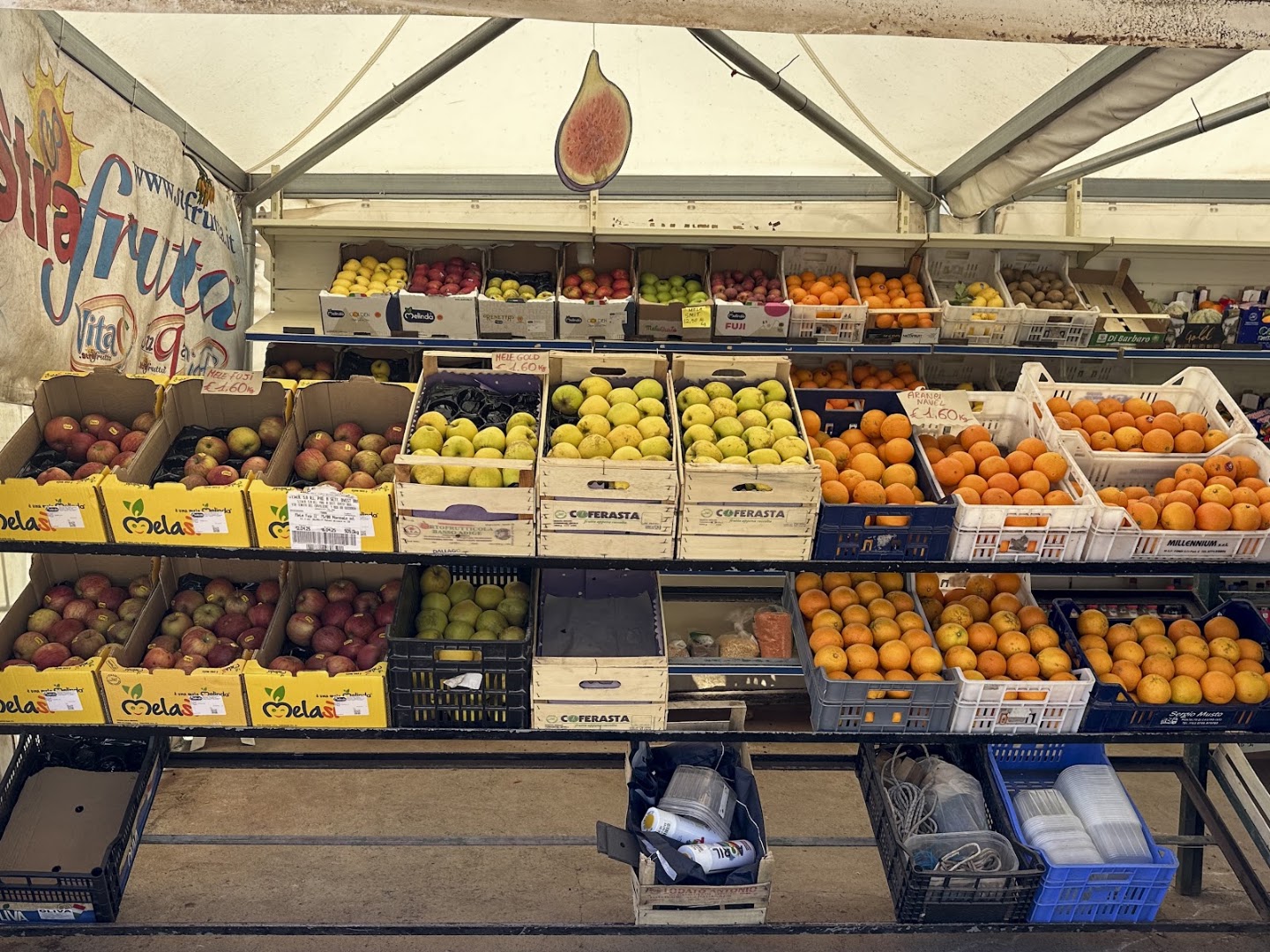 Top Frutta snc