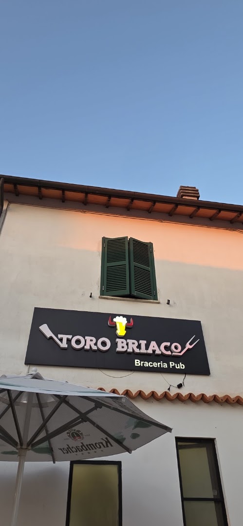Toro Briaco