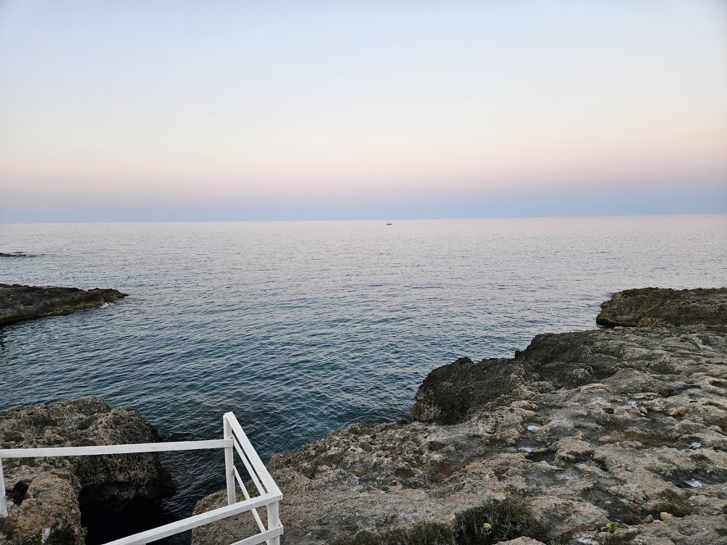 Torre Cafè