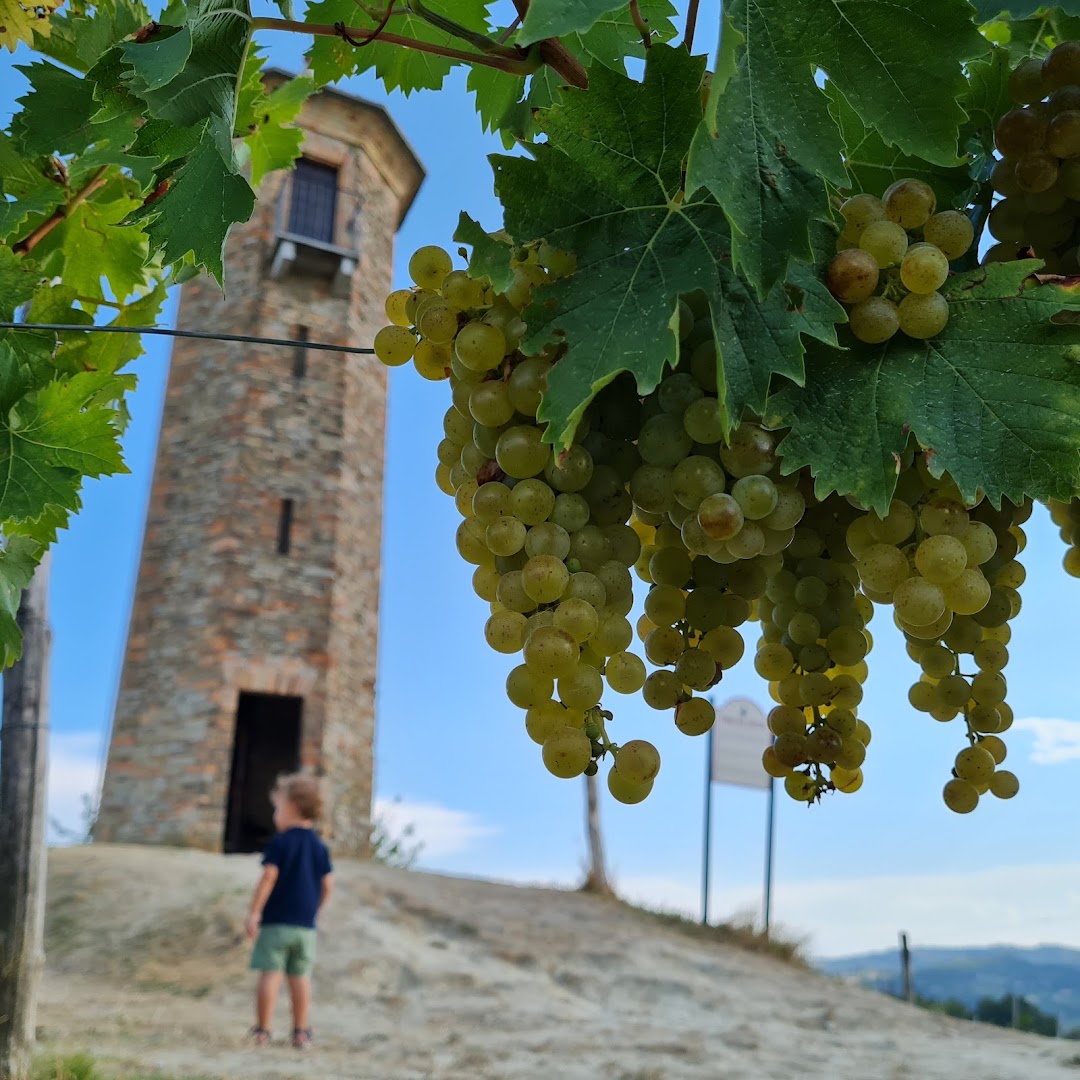 Torre dei Contini, Canelli