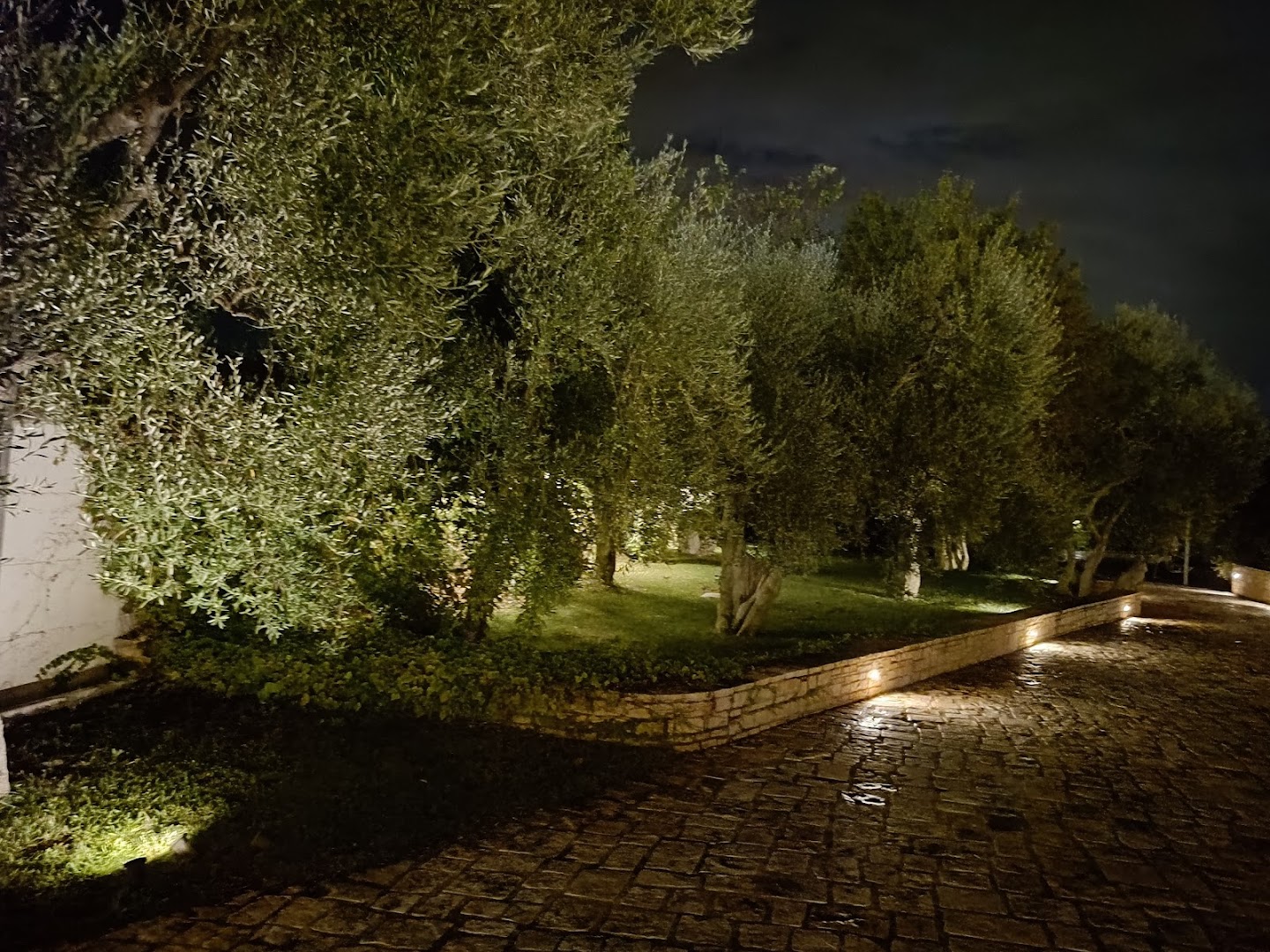 Torre Domini Eventi