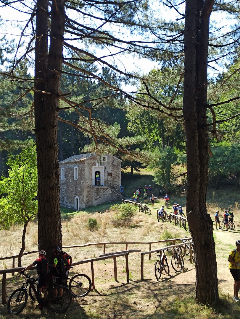 Torre Rinosi