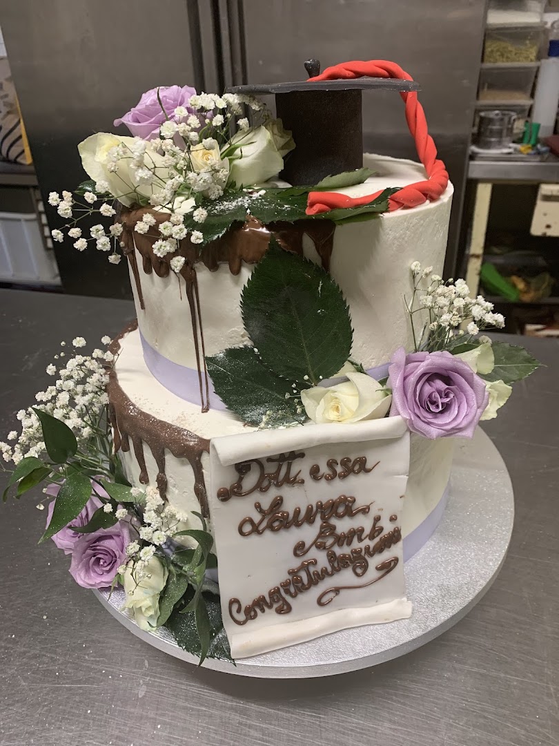 Tortemania