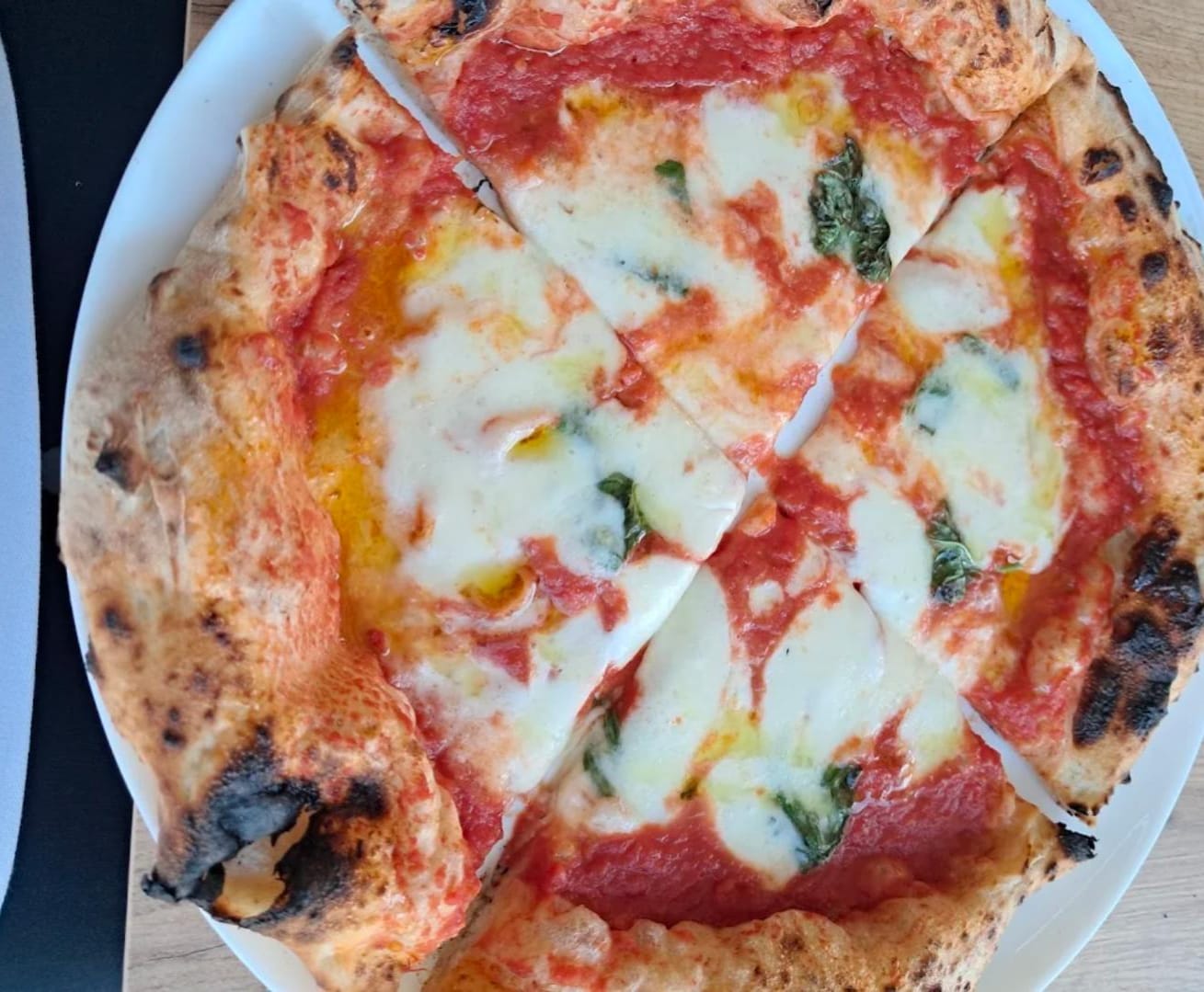 TORTUGA Ristorante Bar Pizzeria