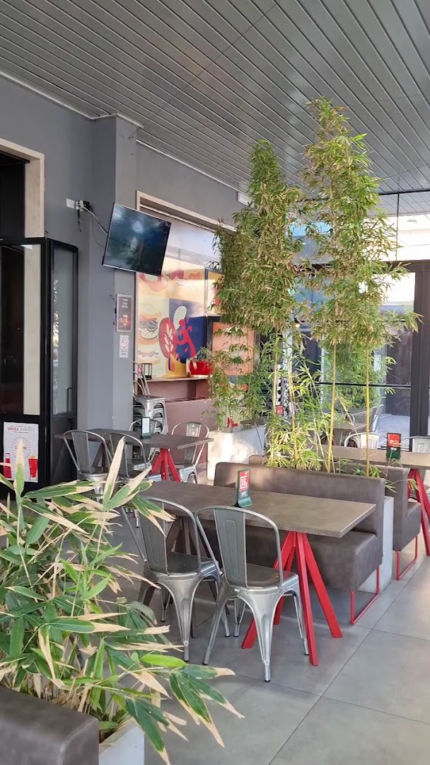 Tostée Frosinone - Brunch, Pranzo, Aperitivo e Cena