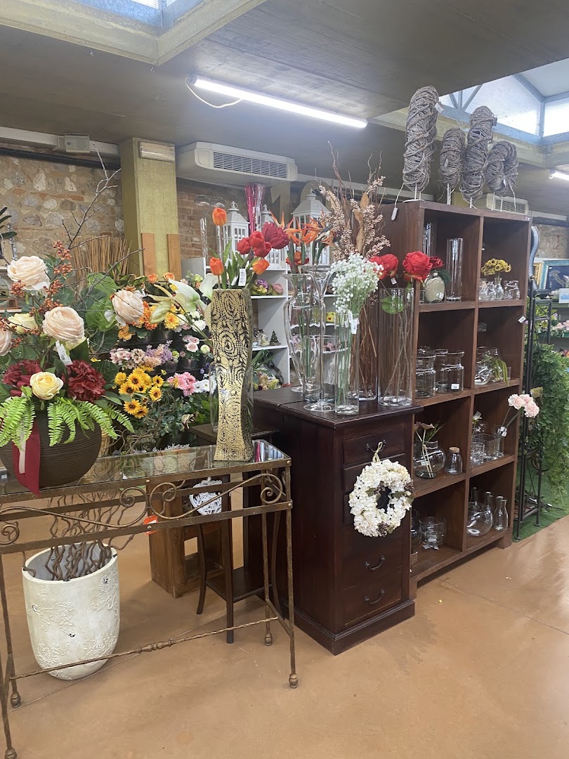 Traini Eco Services