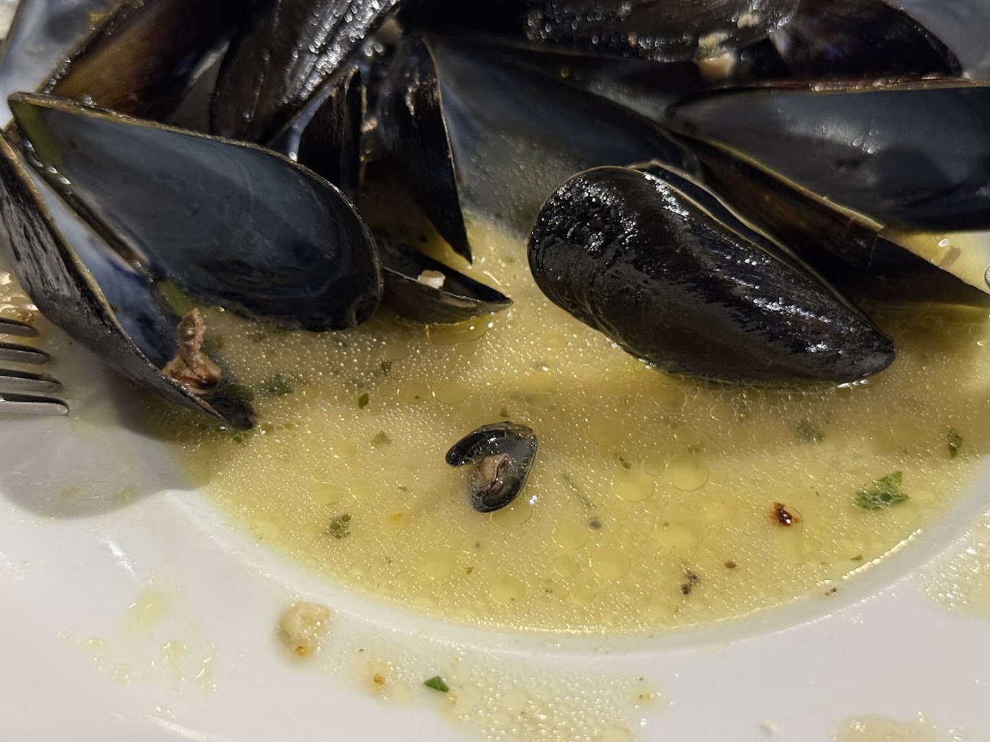 Trattoria Adriatica