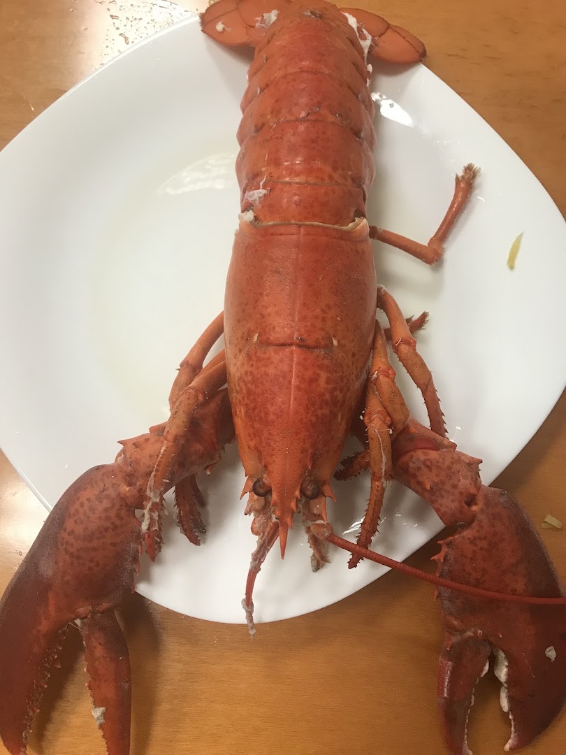Trattoria Al Ristoro