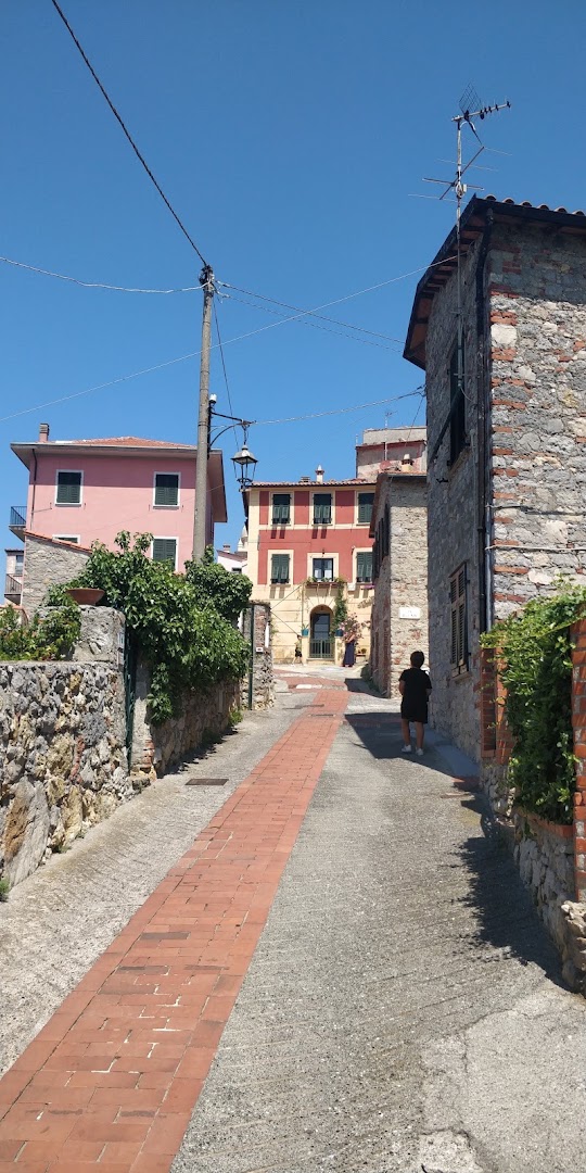 TRATTORIA BAR LA PINETA