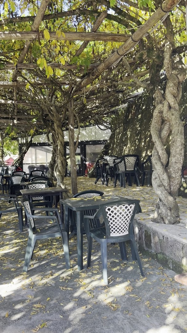 Trattoria Carlini Di De Matti Franca