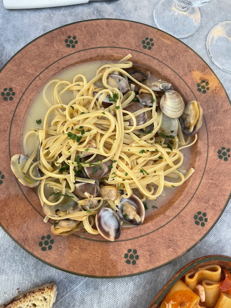 Trattoria Concepita
