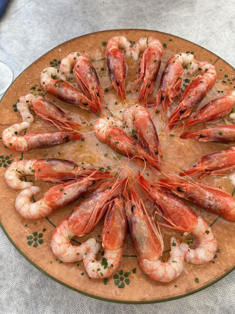 Trattoria Concepita