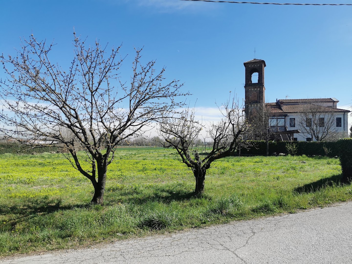 Trattoria da Ottavo