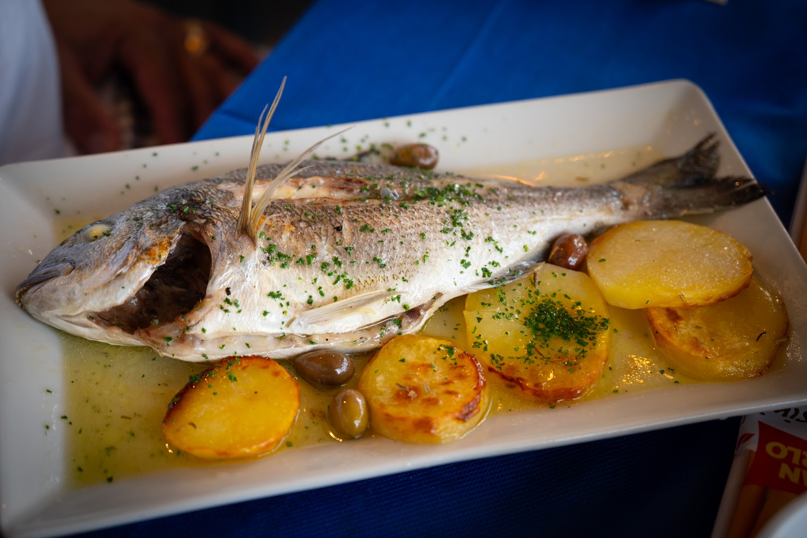 Trattoria dei Pescatori