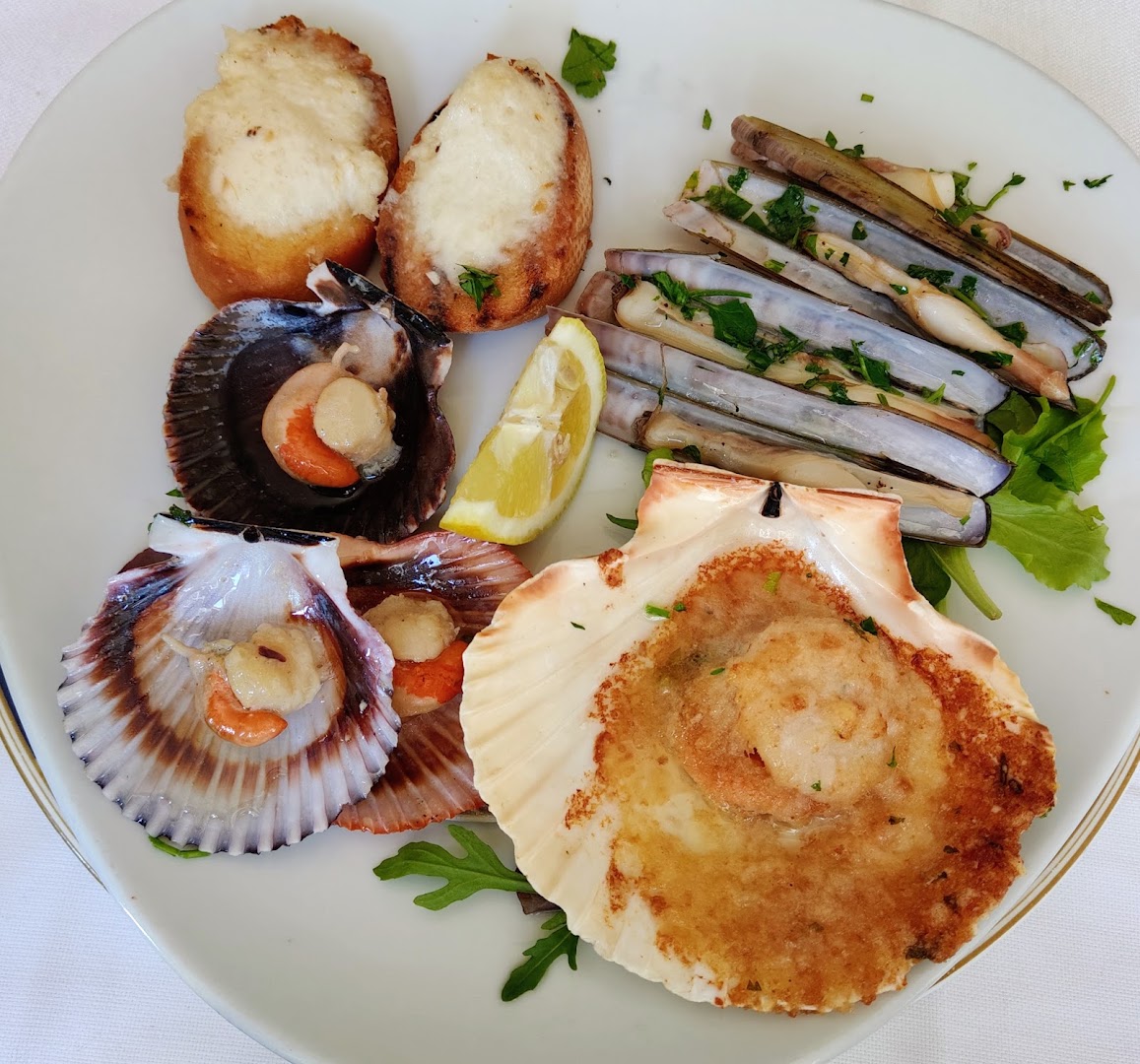 Trattoria Donolo