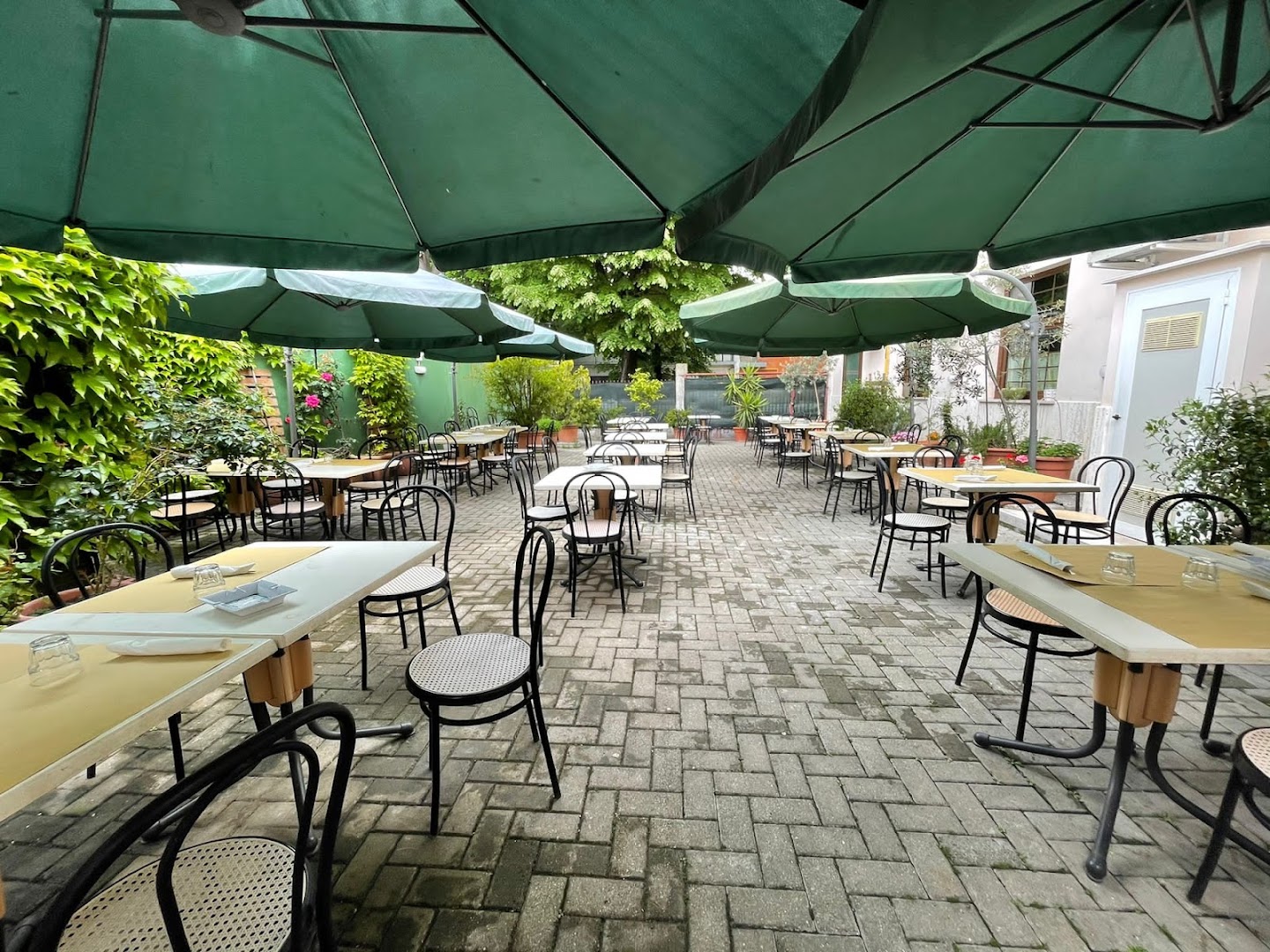 Trattoria E Osteria Il Battibecco