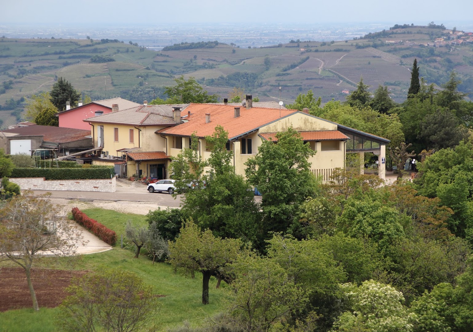 Trattoria e Pizzeria Mocambo