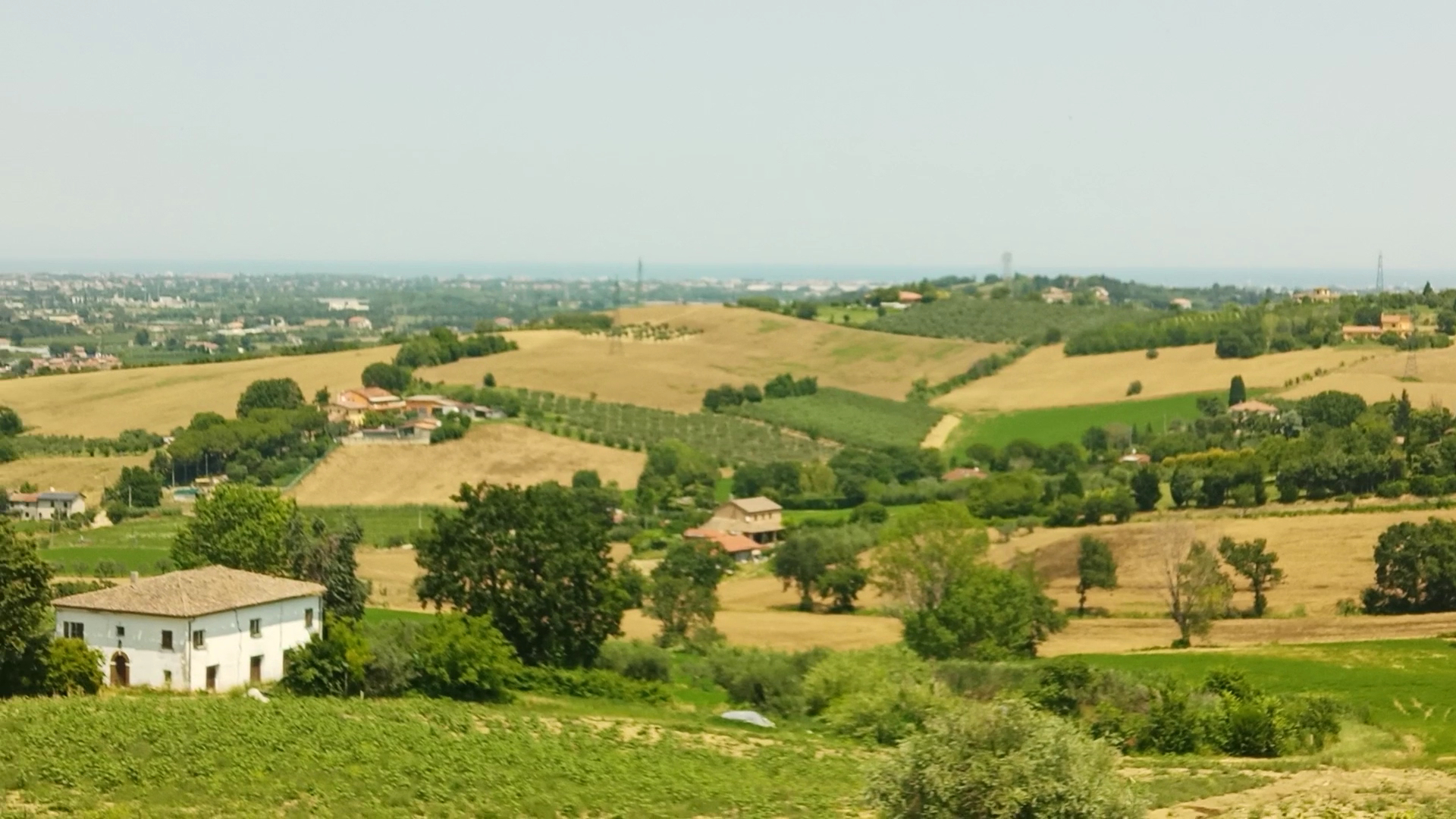 Trattoria Il Vecchio Campanile