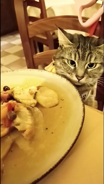 Trattoria La Campanella