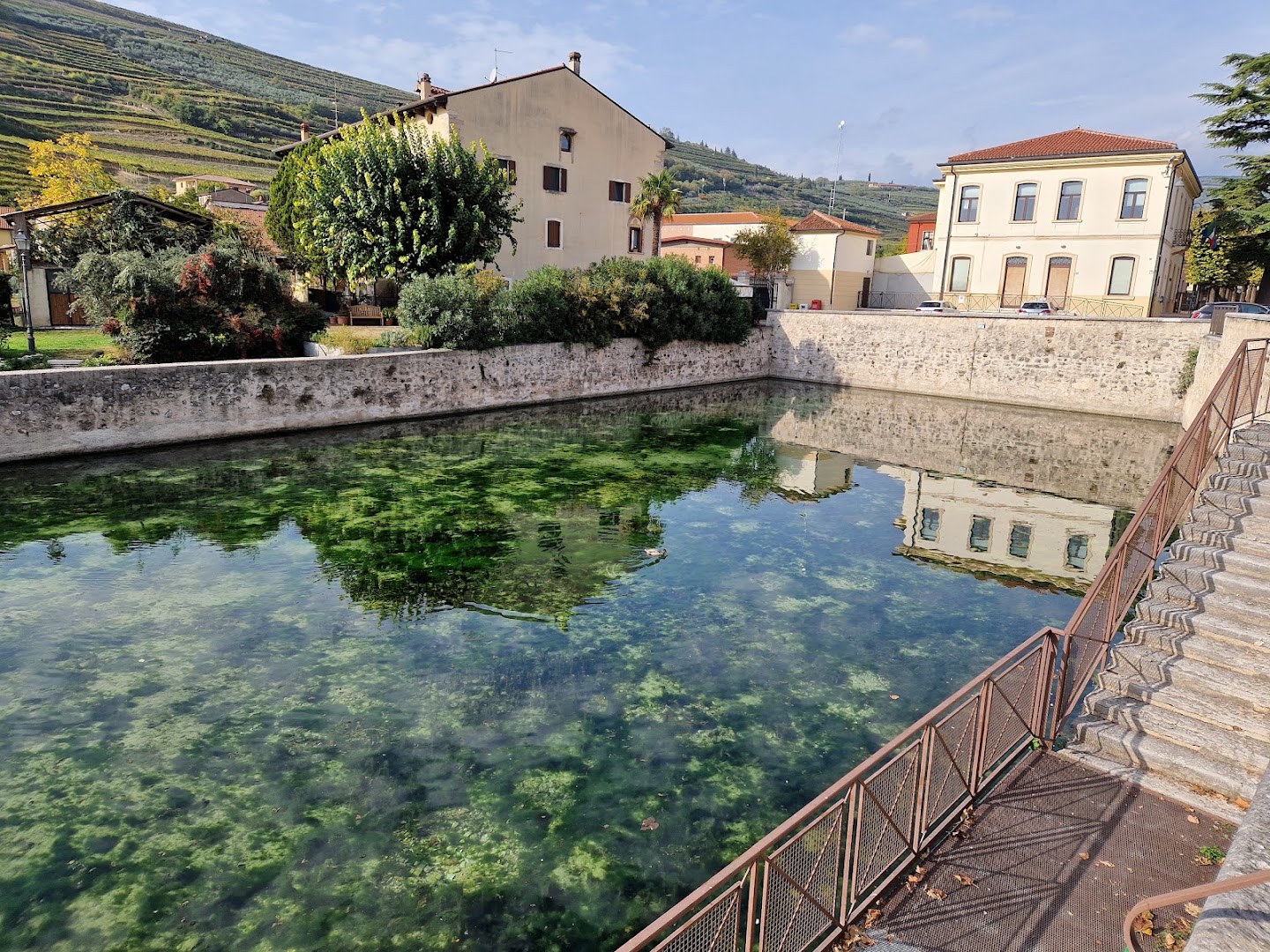 Trattoria La Mora