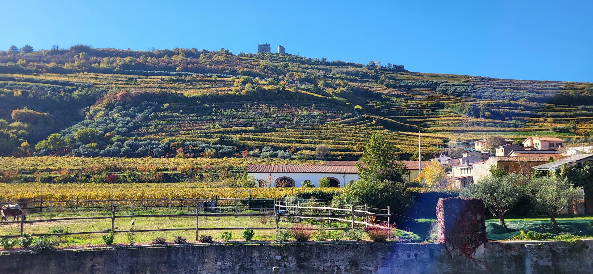 Trattoria La Mora