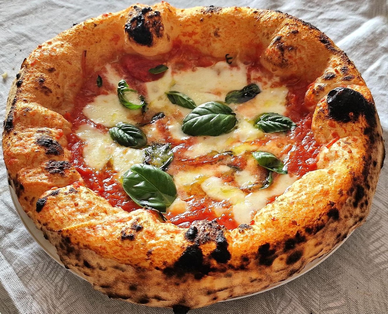 TRATTORIA PIZZERIA FAMILY