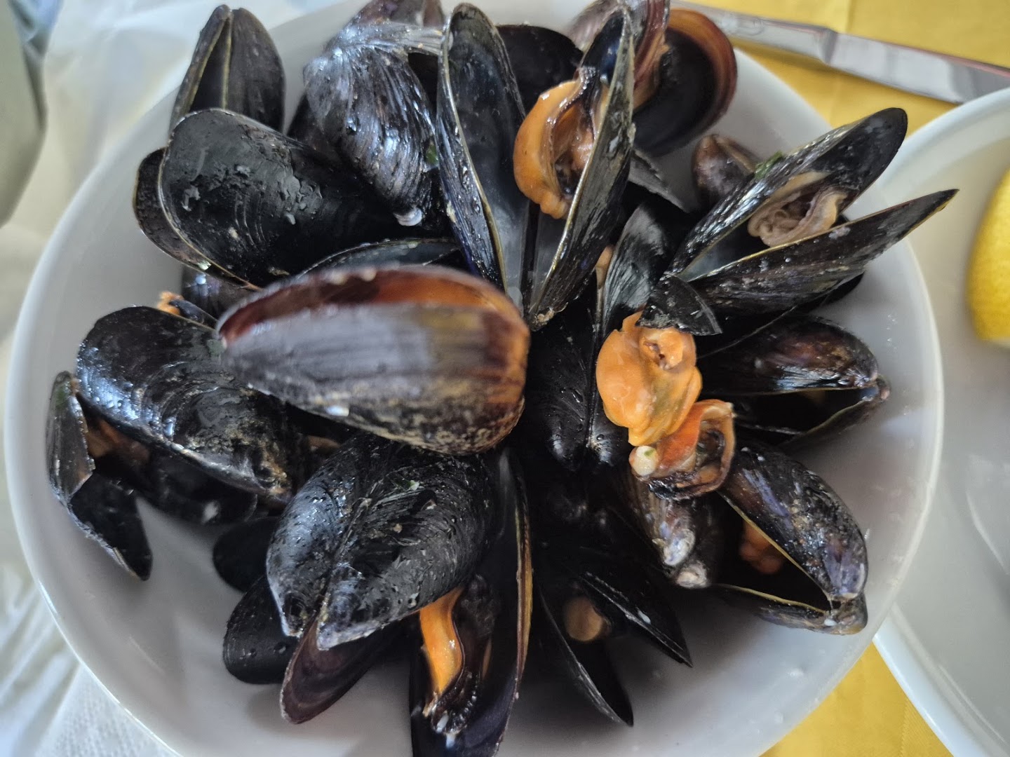 Trattoria Ristorante Alla Foce Dell' Adige