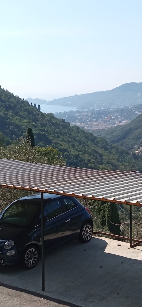 Trattoria Rosa