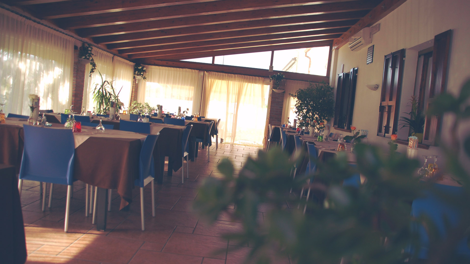 Trattoria Rossi