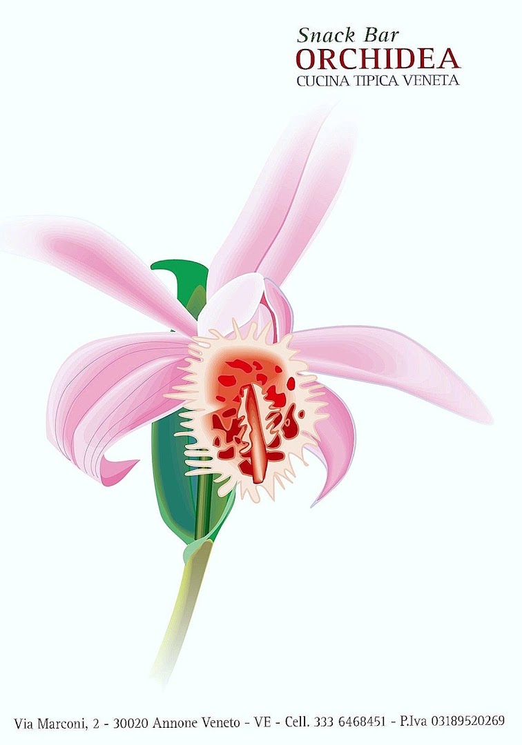 TRATTORIA SNACK BAR ORCHIDEA